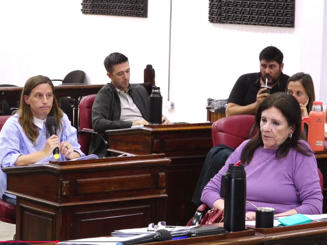 El Concejo abri� el debate por la regulaci�n de geri�tricos